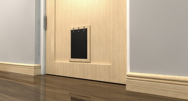 Cat Flap Installation Surbiton, Long Ditton, KT6