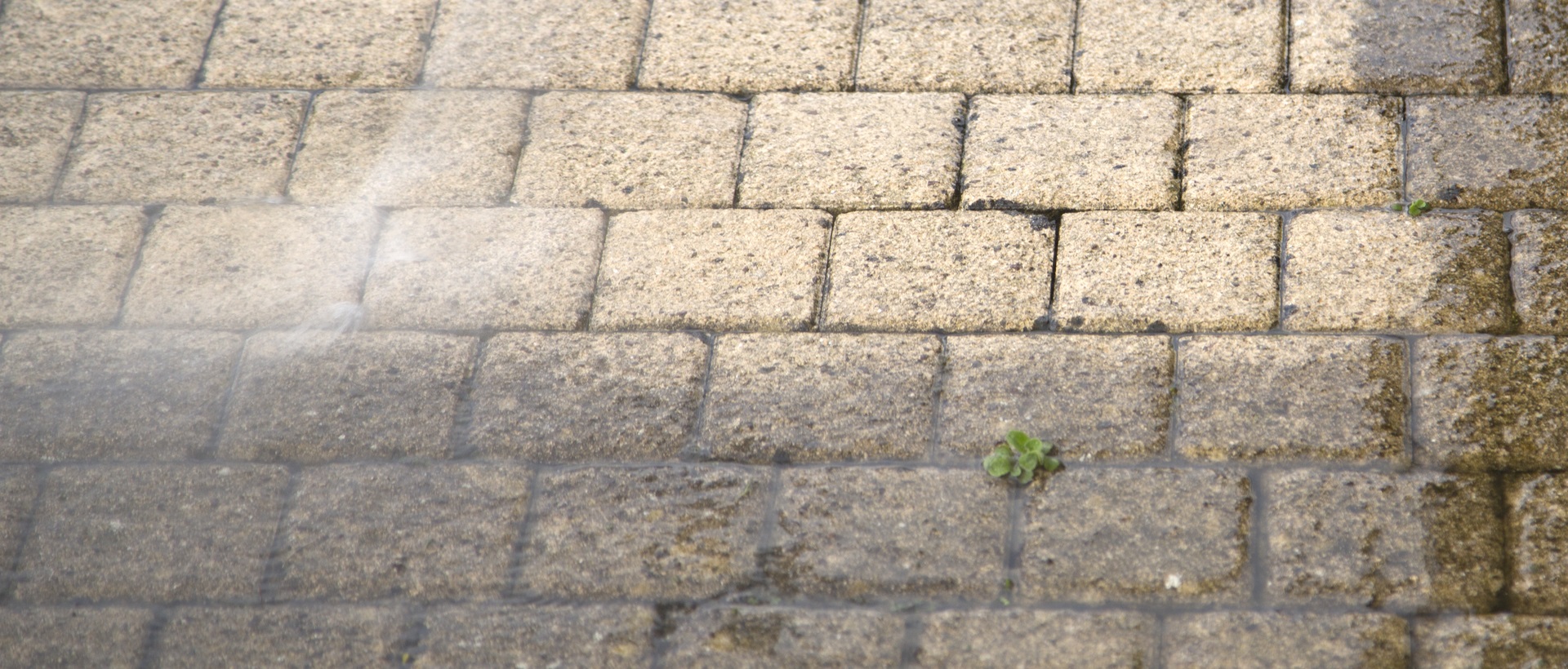 flagging and patios KT6