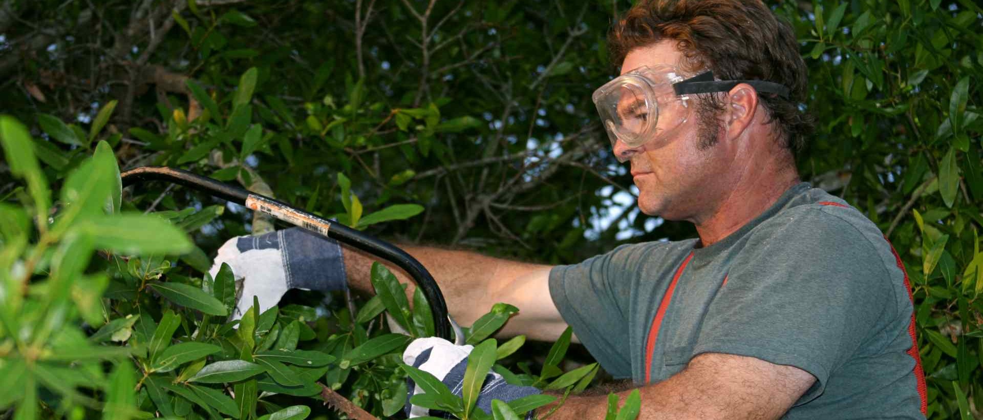 garden clearance KT6